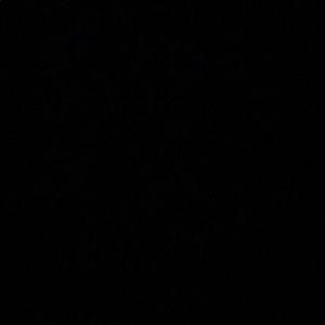 Meet your Posher, Daniela